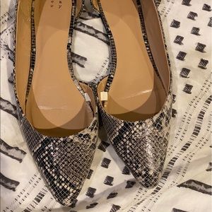 Snakeskin Flats Sz 8.5